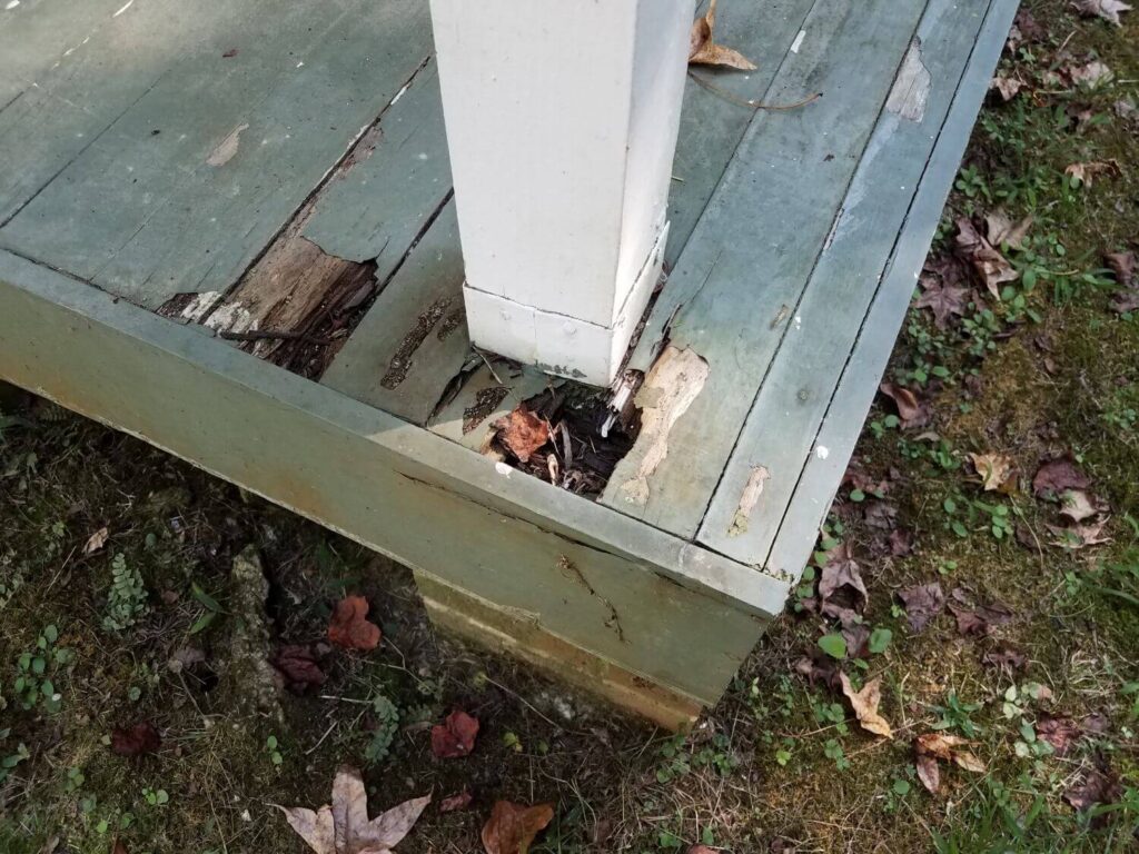 deck replacement wood boards top signs damage rot
